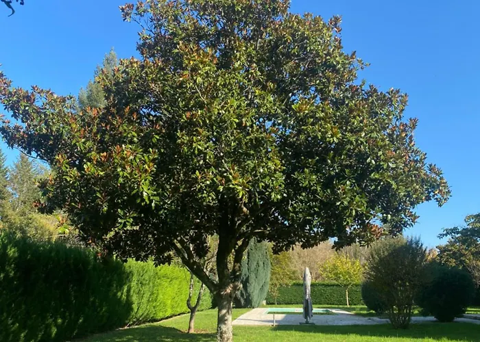 Les De Marie-lot * Vire-sur-Lot