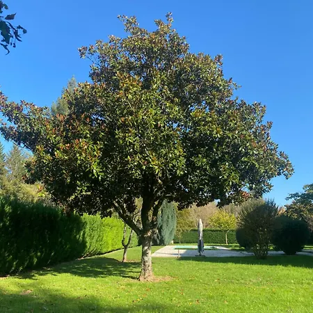 Les De Marie-lot * Vire-sur-Lot