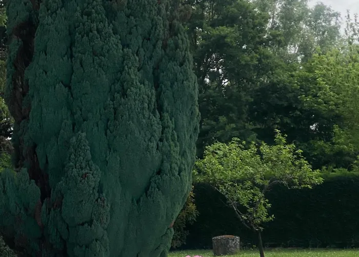 Les De Marie-lot Apartment Vire-sur-Lot